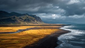 Iceland Black Sand Coast and Gold Grass Aerial
